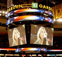 Boston Bruins game