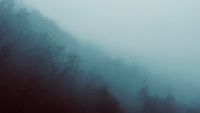 EPHEMERA a 10-hour album in 10 parts — Ephemera #6