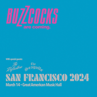 Buzzcocks! with The Seagulls and The Reflectors 