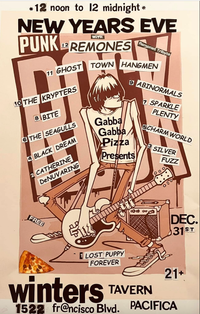 The Seagulls play Gabba Gabba Pizza's Punk NYE!