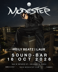 Modestep - Direct Support