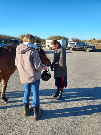 The horse says "What on earth are you wearing??"
