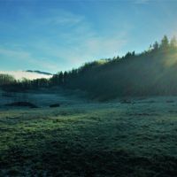 Goodbye Cougar Mountain by Cooter and The Coprolites