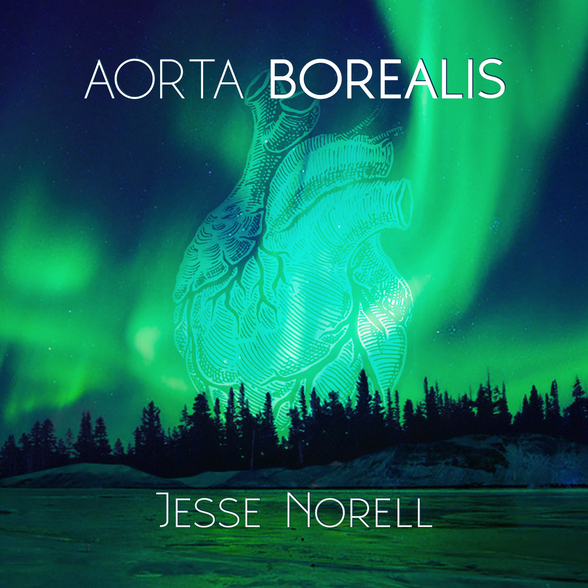 Aorta Borealis - (Jesse Norell Solo) CD