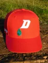 FIRE RED WORLDWIDE BALL CAP
