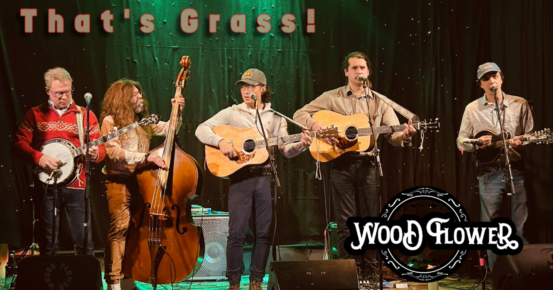 Wood Flower Bluegrass - Music