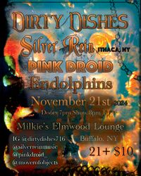 w/Pink Droid + Dirty Dishes + Endolphins