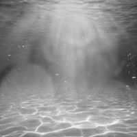 Sea of Blue by Eric F. Scholl (Music) and Michael B. Chambers (Words)