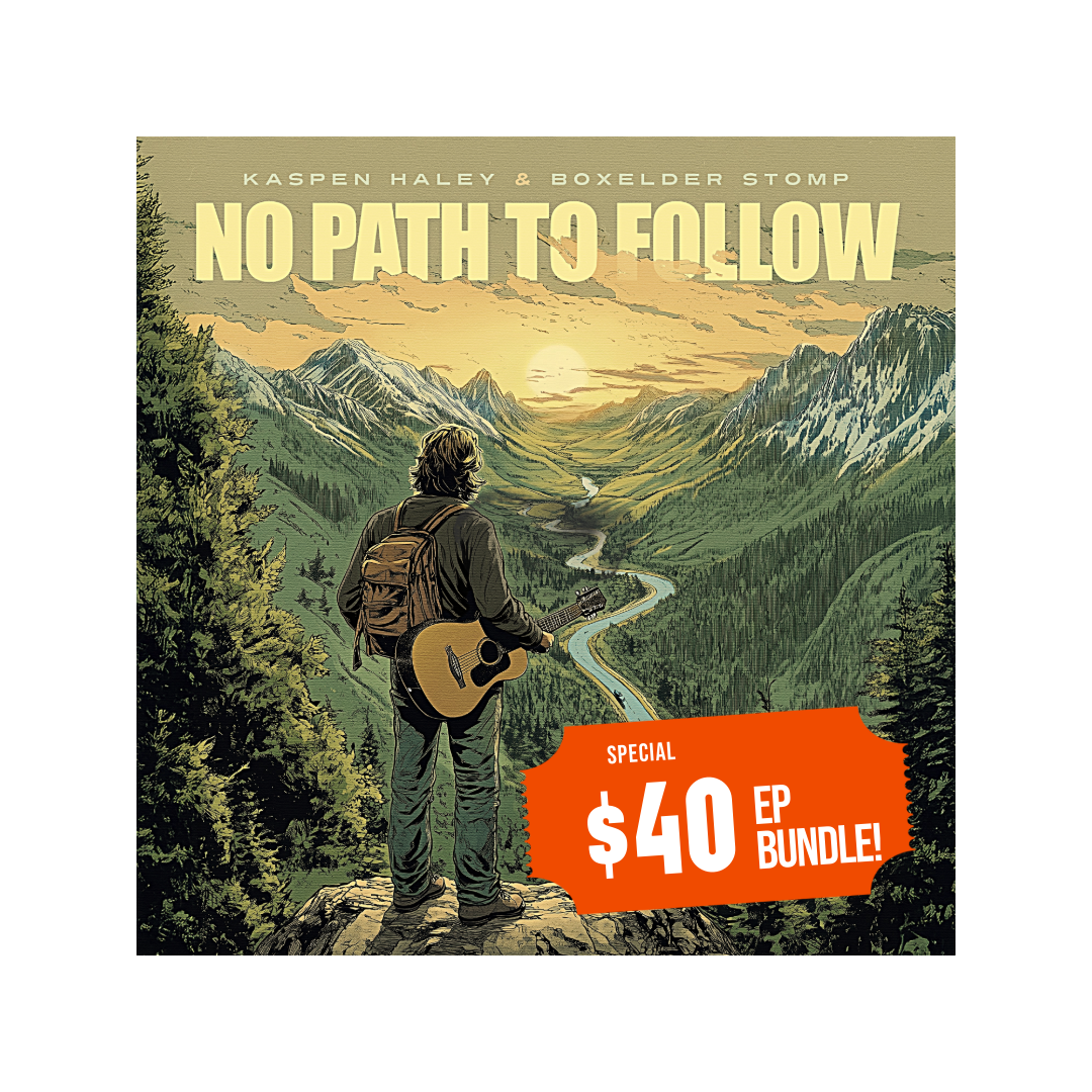 Vinyl Bundle- No Path To Follow- LIMITED TIME!