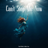 Can't Stop Me Now by Sound Gallery by Dmitry Taras