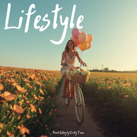 Lifestyle by Sound Gallery by Dmitry Taras