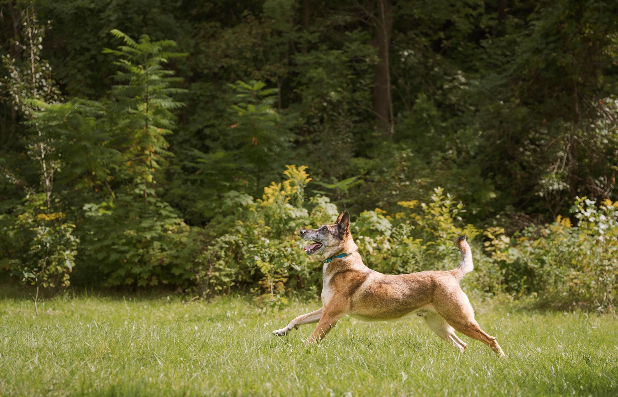 Max playing