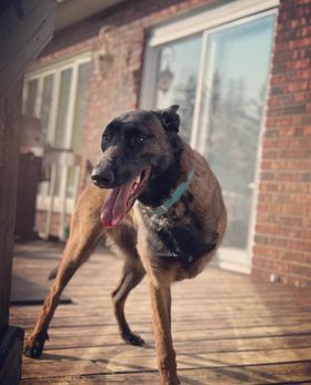 Zelda