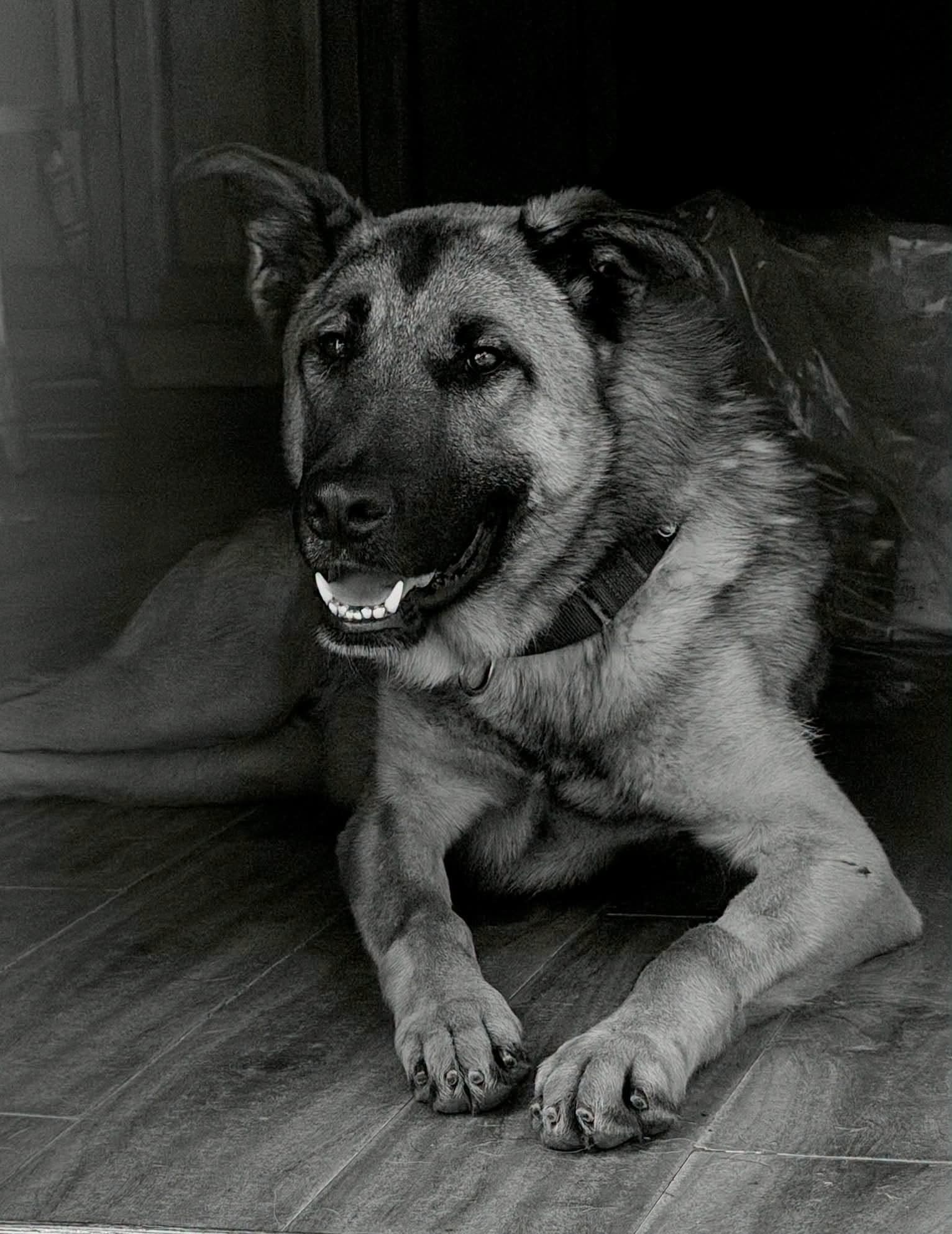 Benny