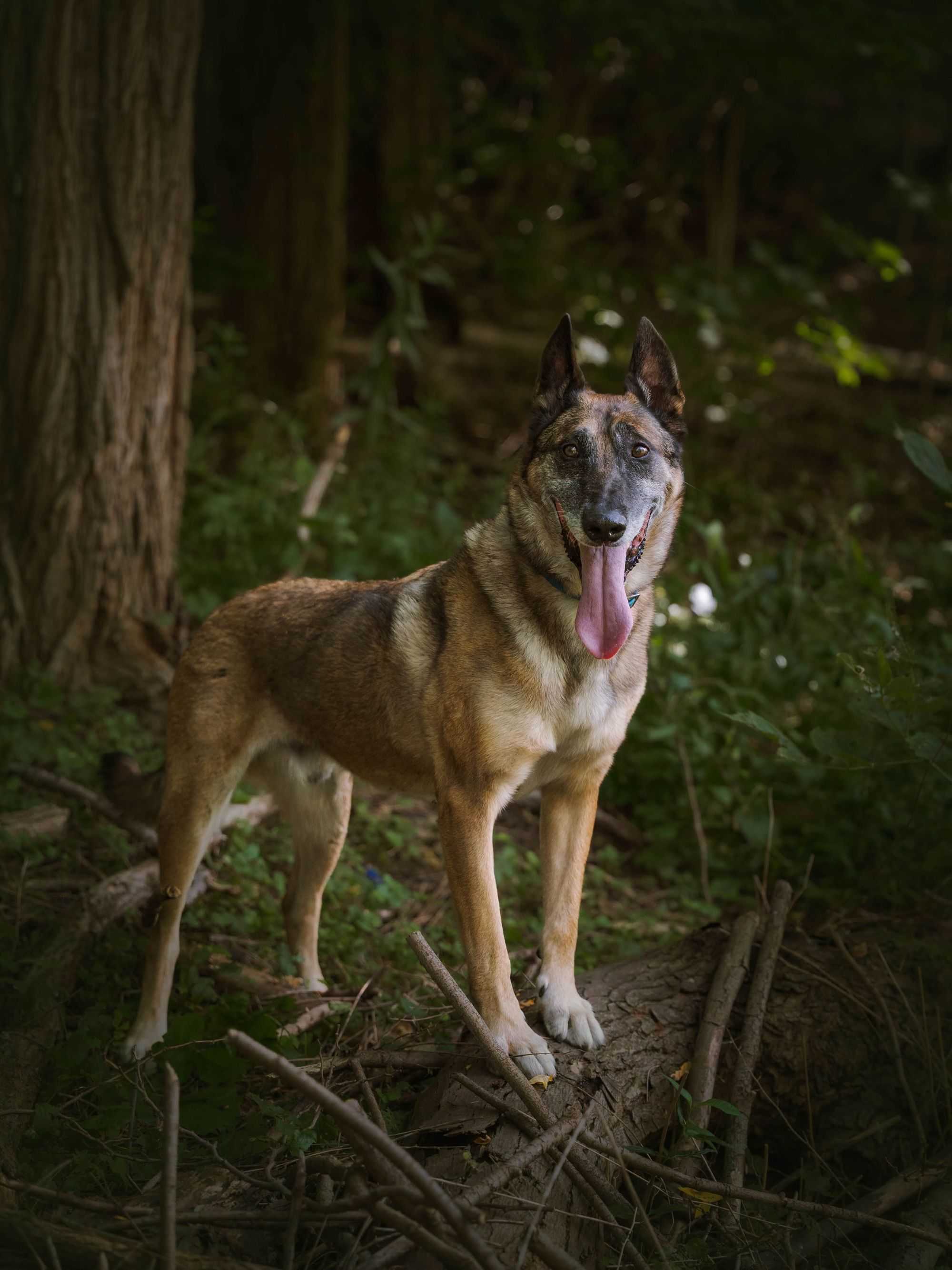 Max running outdoors
