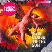 Too Close To The Sun  by Harri Larkin