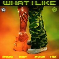 What I Like by Rvssian ft Moliy, Ayetian & Tyga