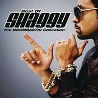 It Wasn't Me by Shaggy ft Rik Rok