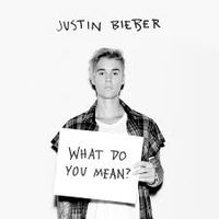 What Do You Mean by Justin Biebe