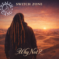 Why Not by Switch Zone