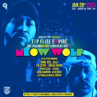 Meow Wolf Denver w/ Top Flite Empire