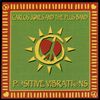 Positive Vibrations - Carlos Jones & The P.L.U.S. Band