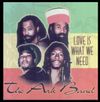 Love Is What We Need - The Ark Band