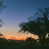 Severed Hearts by Augie