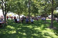 Willow Tree Festival