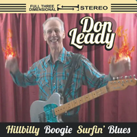 Hillbilly Boogie Surfin' Blues by Don Leady