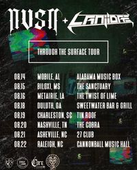 Through The Surface Tour: NVSN, LANiiDAE