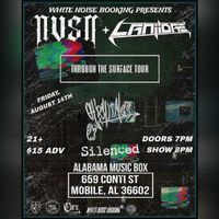 Through The Surface Tour: NVSN, LANiiDAE