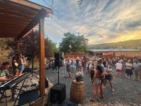 Tuesday String Band @ The Riverside