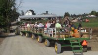 Tuesday String Band @ Heiser Farms Pumpkin Patch