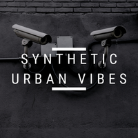 Synthetic Urban Vibes