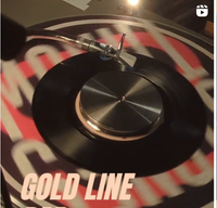 The Gold Line Bar presents a Hen Boogie all 45s set