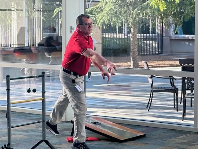 Ladderball
