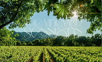 The Vineyard Sessions