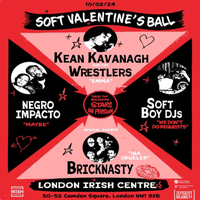 Soft Boy Records Presents: Soft Valentine's Ball