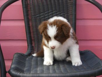 Before I leave for my new home
