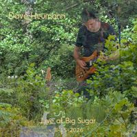 Live at Big Sugar 8-15-2026 by Dave Heumann