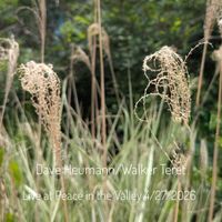Live at Peace in the Valley 4-27-2026 by Dave Heumann and Walker Teret