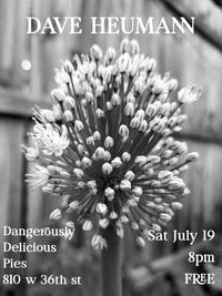 Dave Heumann solo electric at Dangerously Delicious Pies