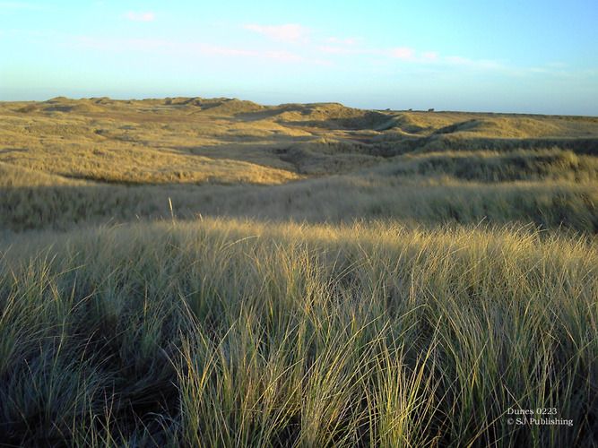 Dunes