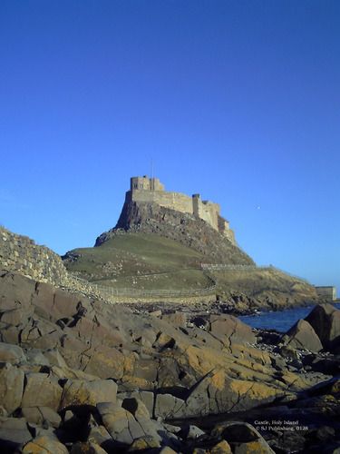 Holy Island Castle (128)