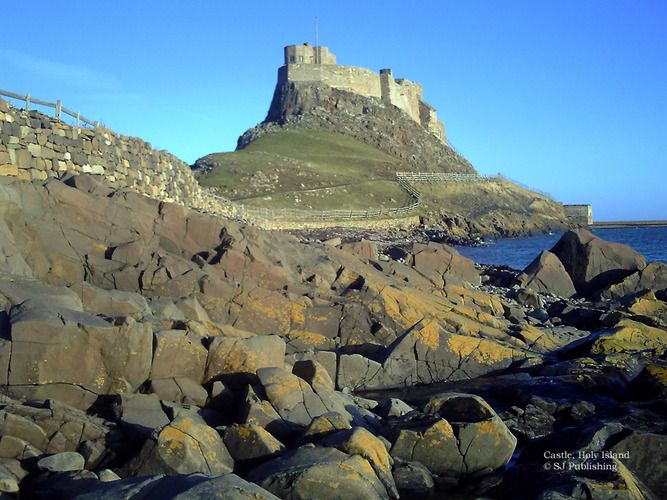 Holy Island Castle (133)