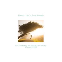 Almost Isn't Good Enough by Consuelo Scivoletto-Cordey
