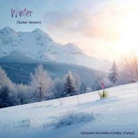 Winter (Guitar Version) by Vocals as Work for Hire