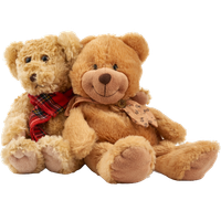Add Stuffed Animal