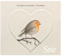 Ytre Suløens Jass-ensemble
